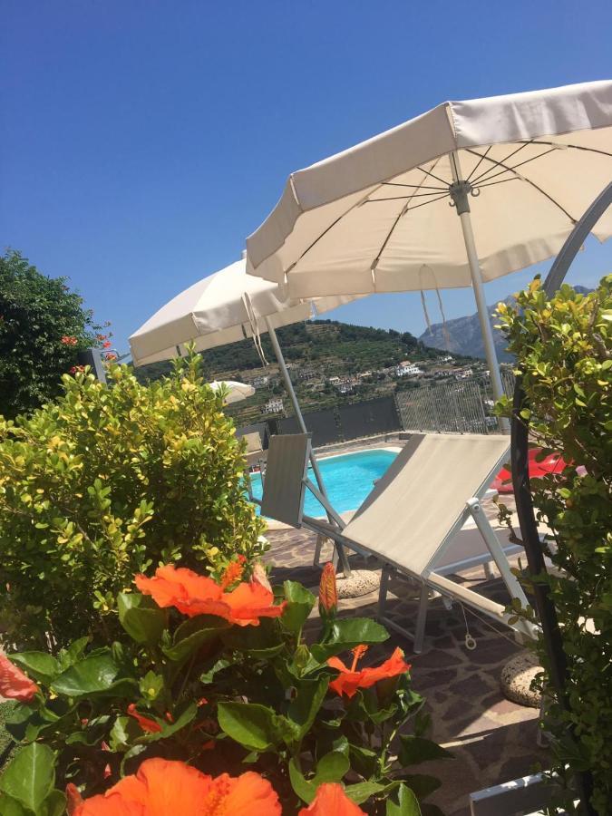 Villa Laura Near Ravello สกาลา ภายนอก รูปภาพ